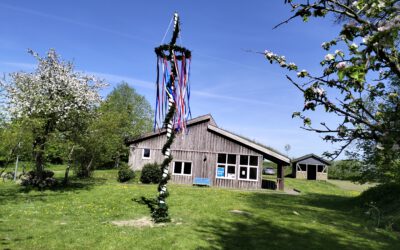 Maibaum