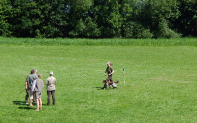 Info für Jagdhunde-Besitzer
