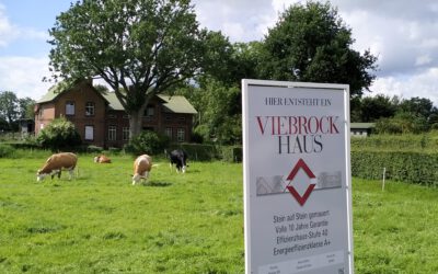 Veränderung im Süderende