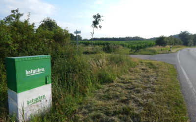 Holstein gegen Halunken