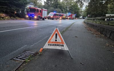 Große Suchaktion