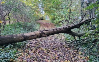 Alles richtig gemacht