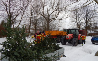 Weihnachtsbäume sind entsorgt