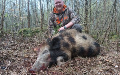 Wildschwein