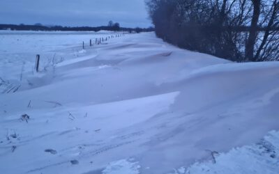 Winterdienst-Bilanz des LBV